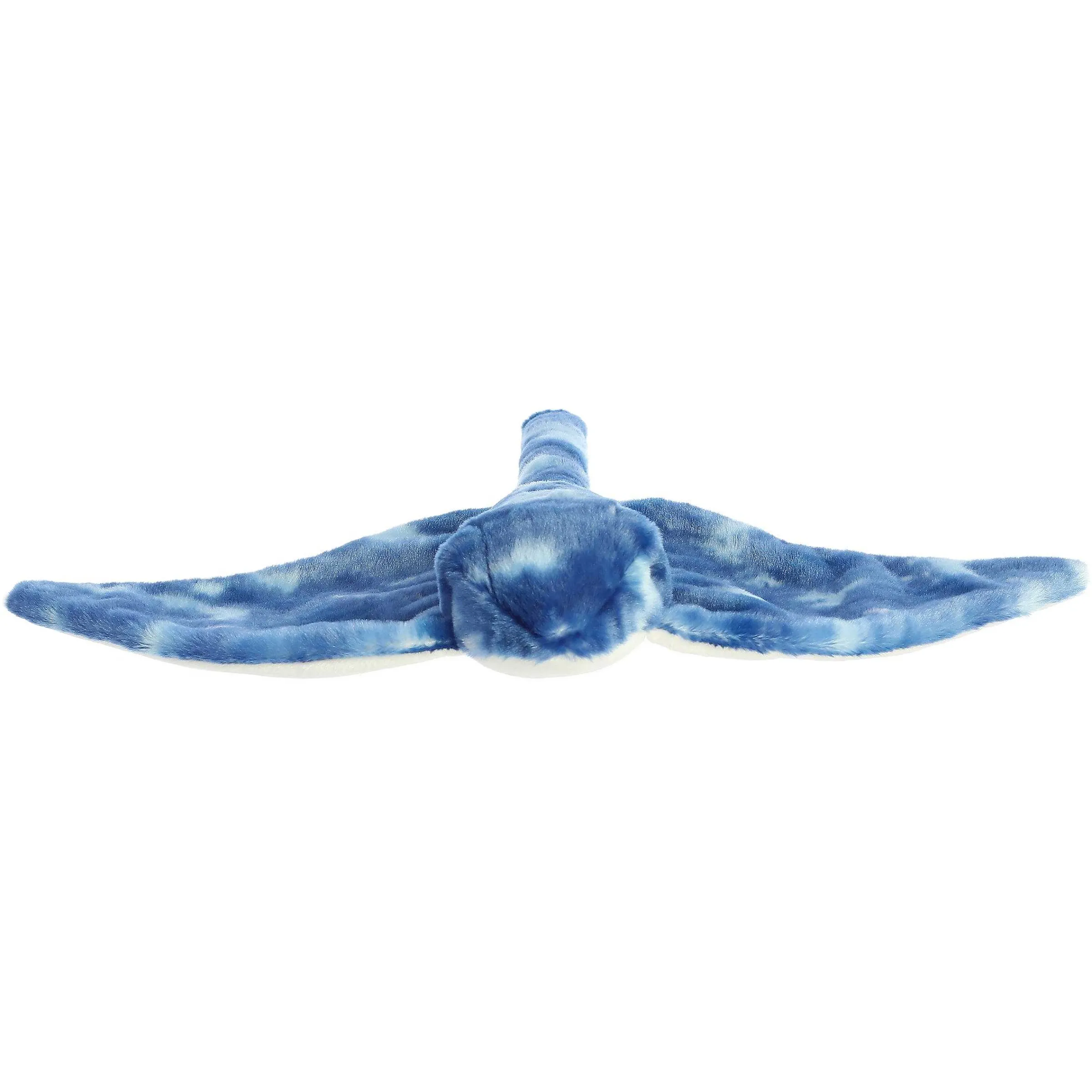 Aquatic | Aurora® - Destination Nation - 19" Stingray - Blue