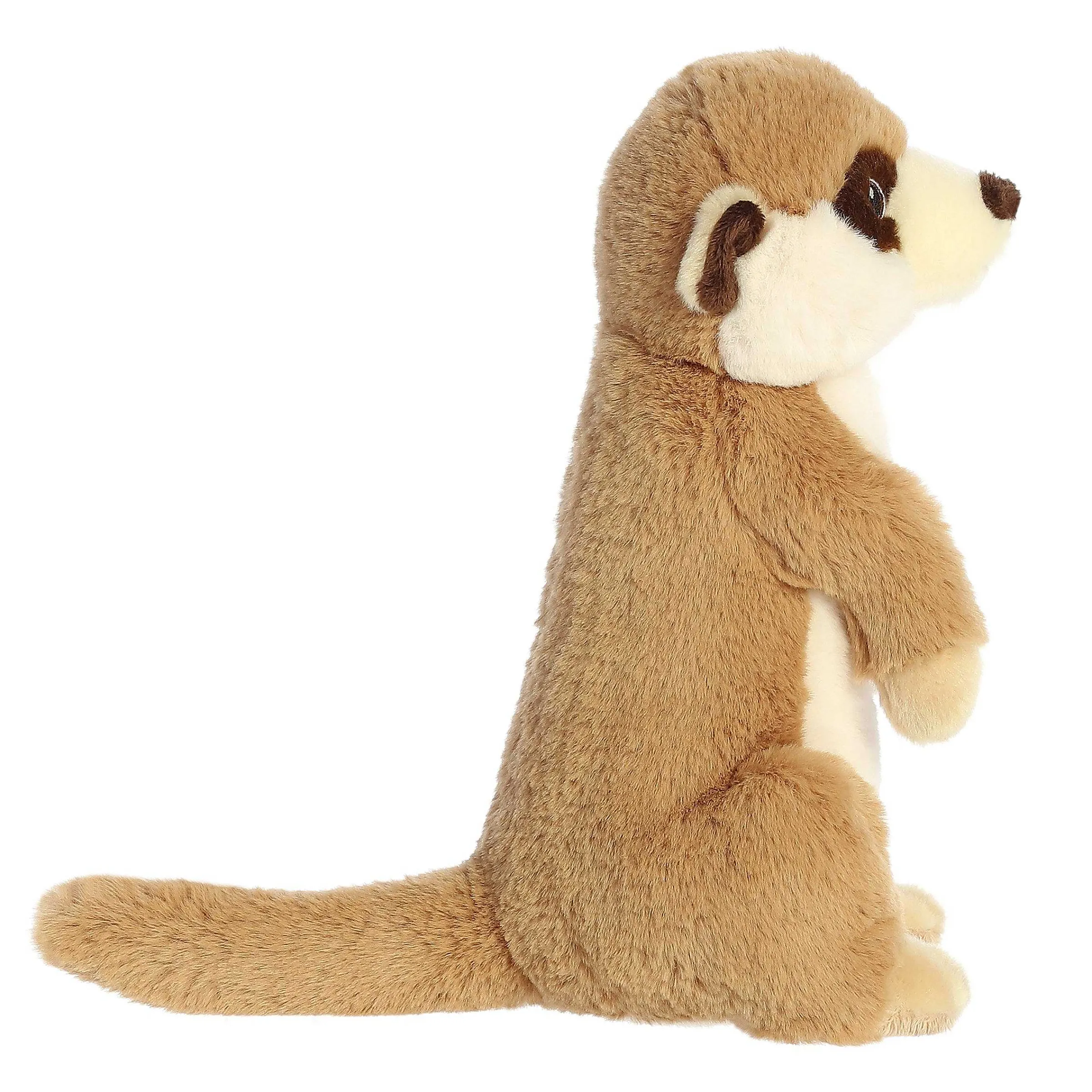 Eco Nation | Aurora® - Eco Nation - 10" Meerkat