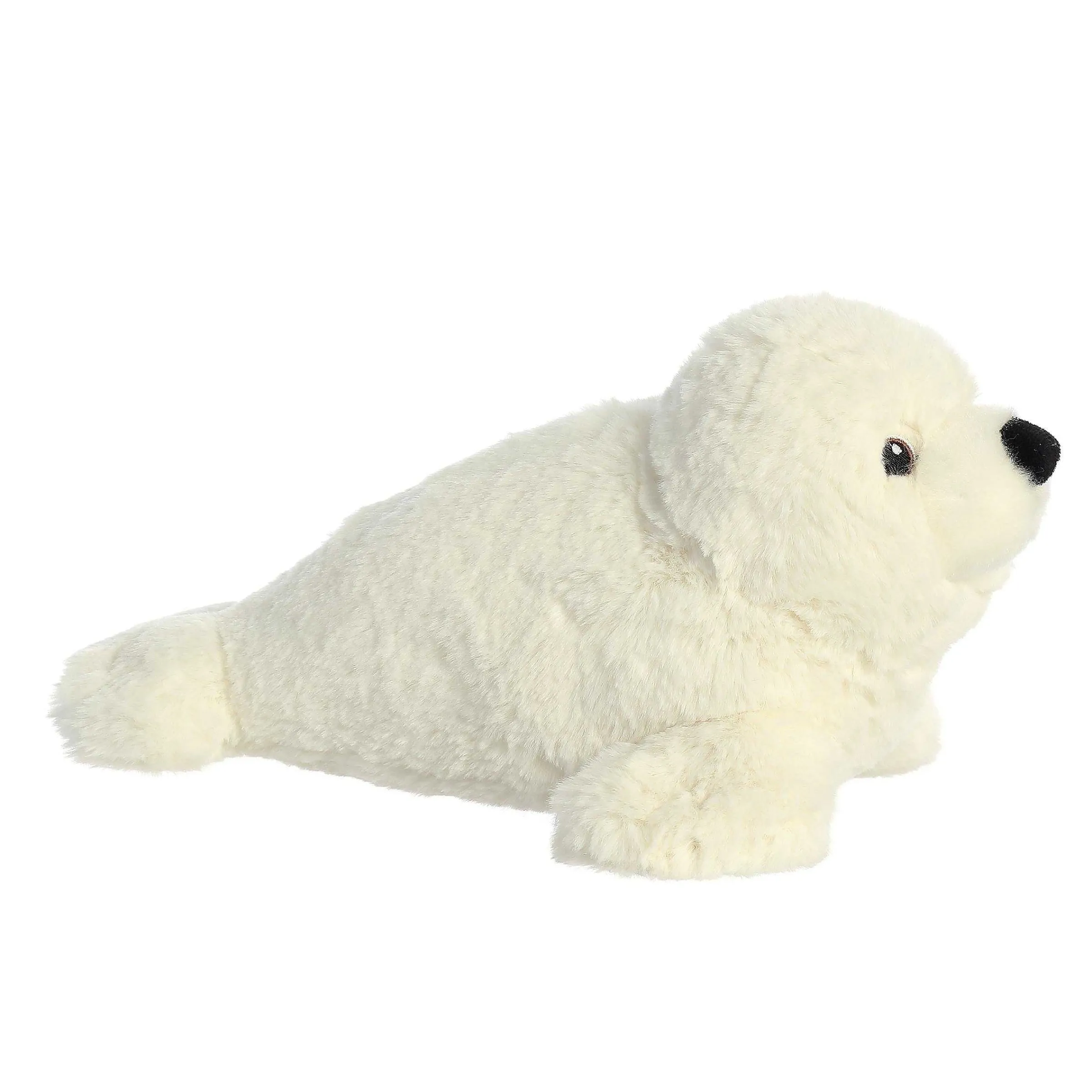 Eco Nation | Aurora® - Eco Nation - 12" Seal
