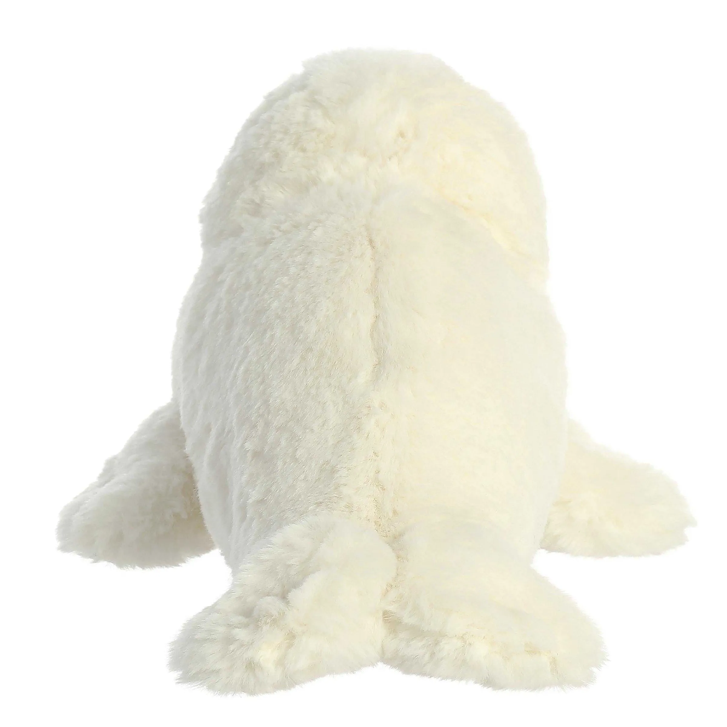 Eco Nation | Aurora® - Eco Nation - 12" Seal