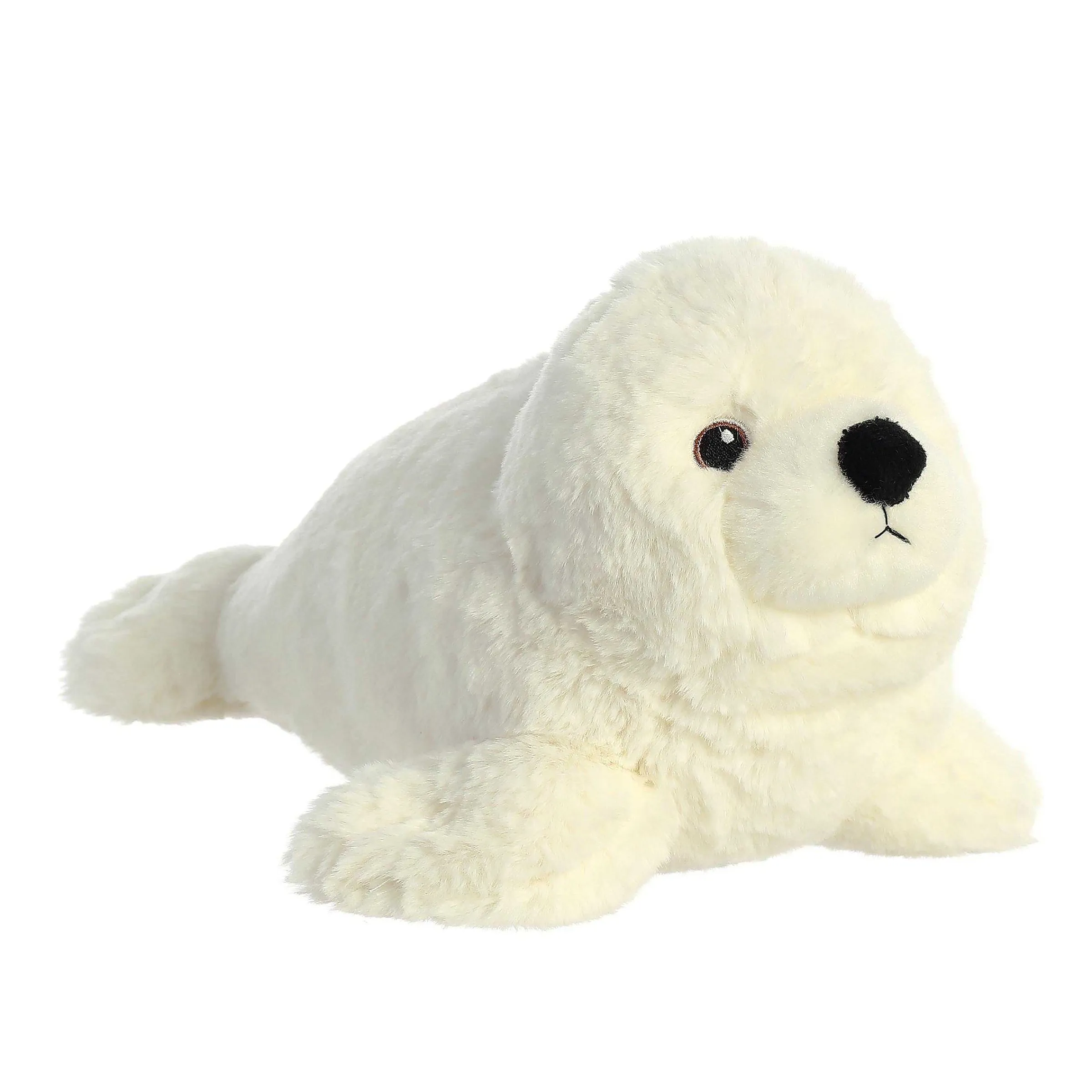 Eco Nation | Aurora® - Eco Nation - 12" Seal