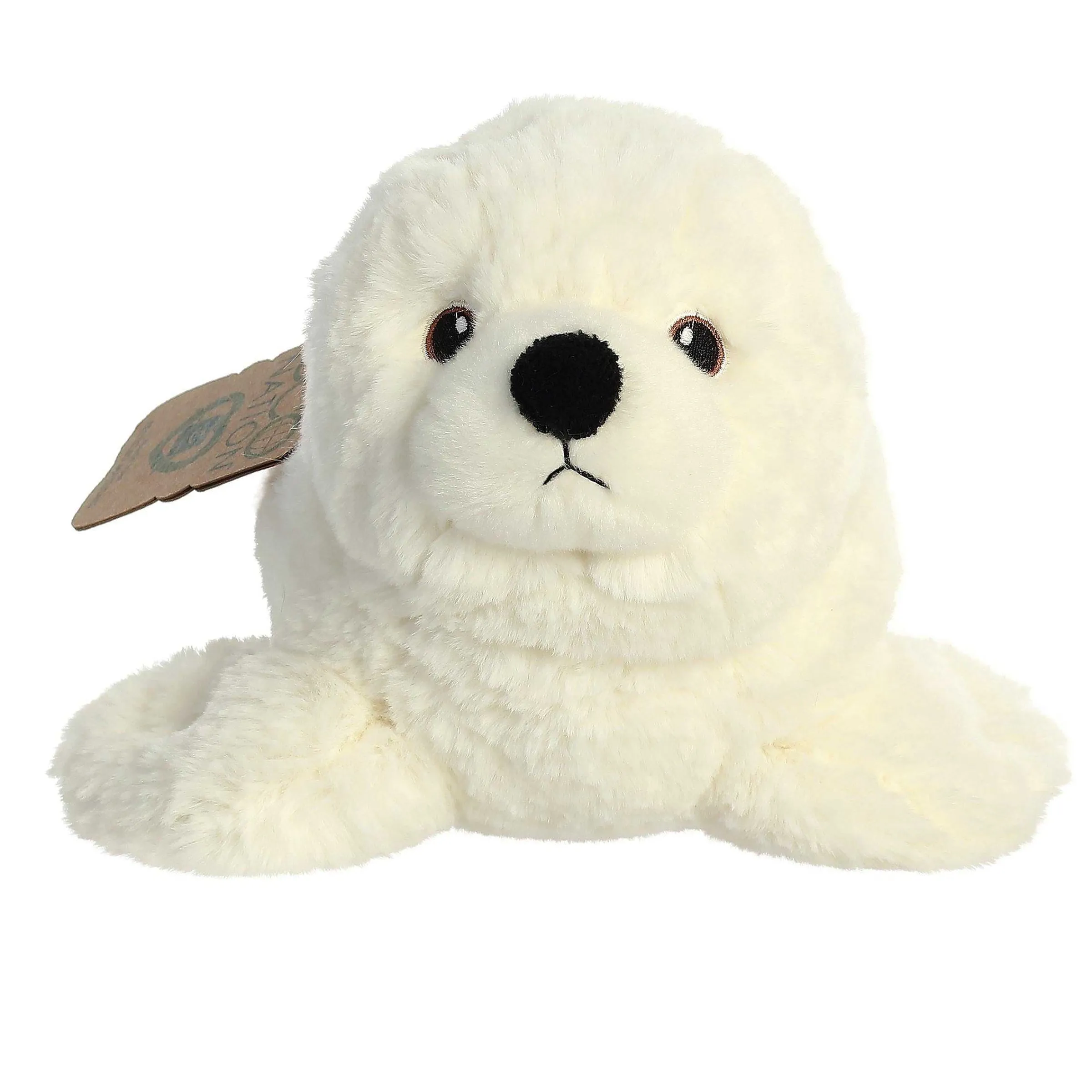 Eco Nation | Aurora® - Eco Nation - 12" Seal
