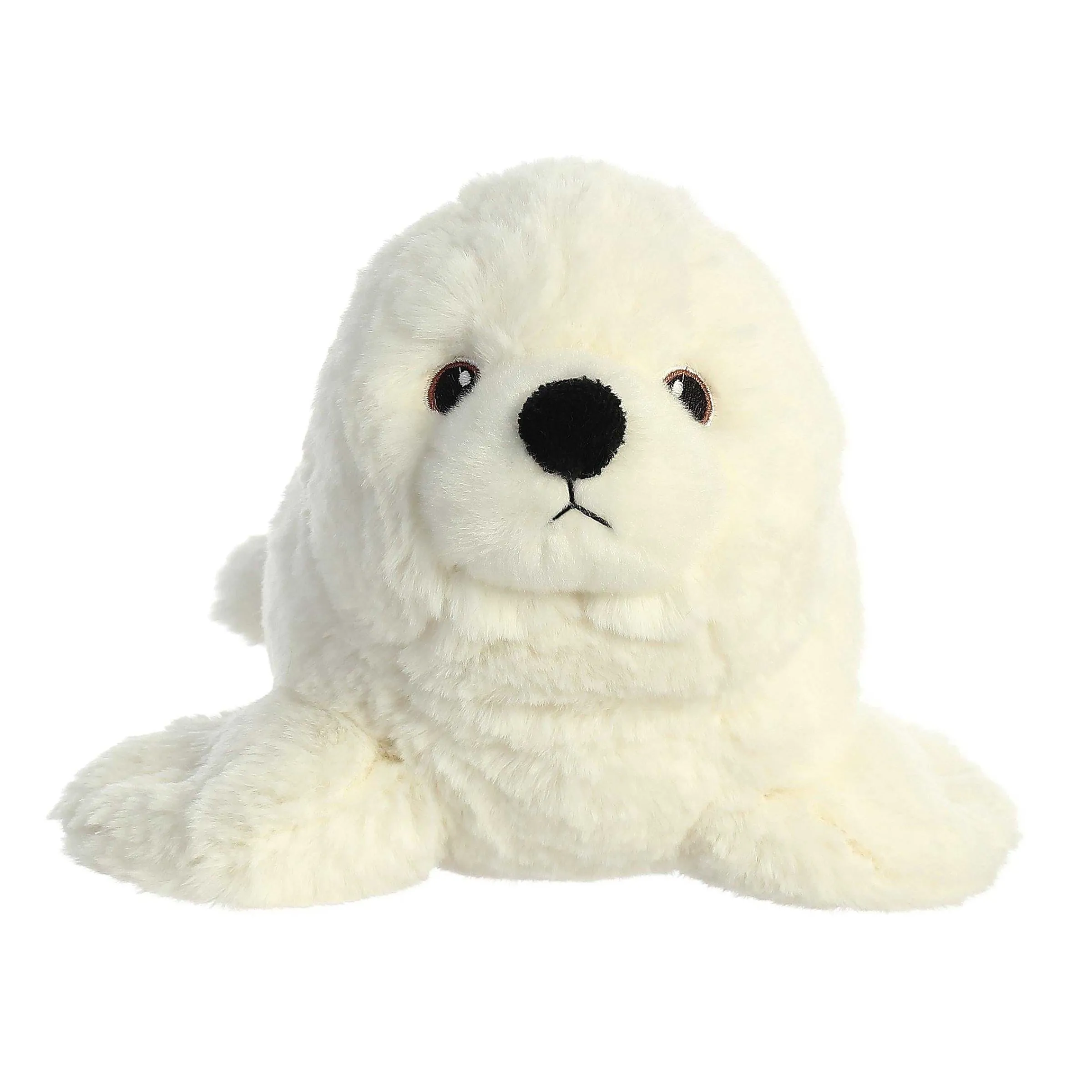 Eco Nation | Aurora® - Eco Nation - 12" Seal