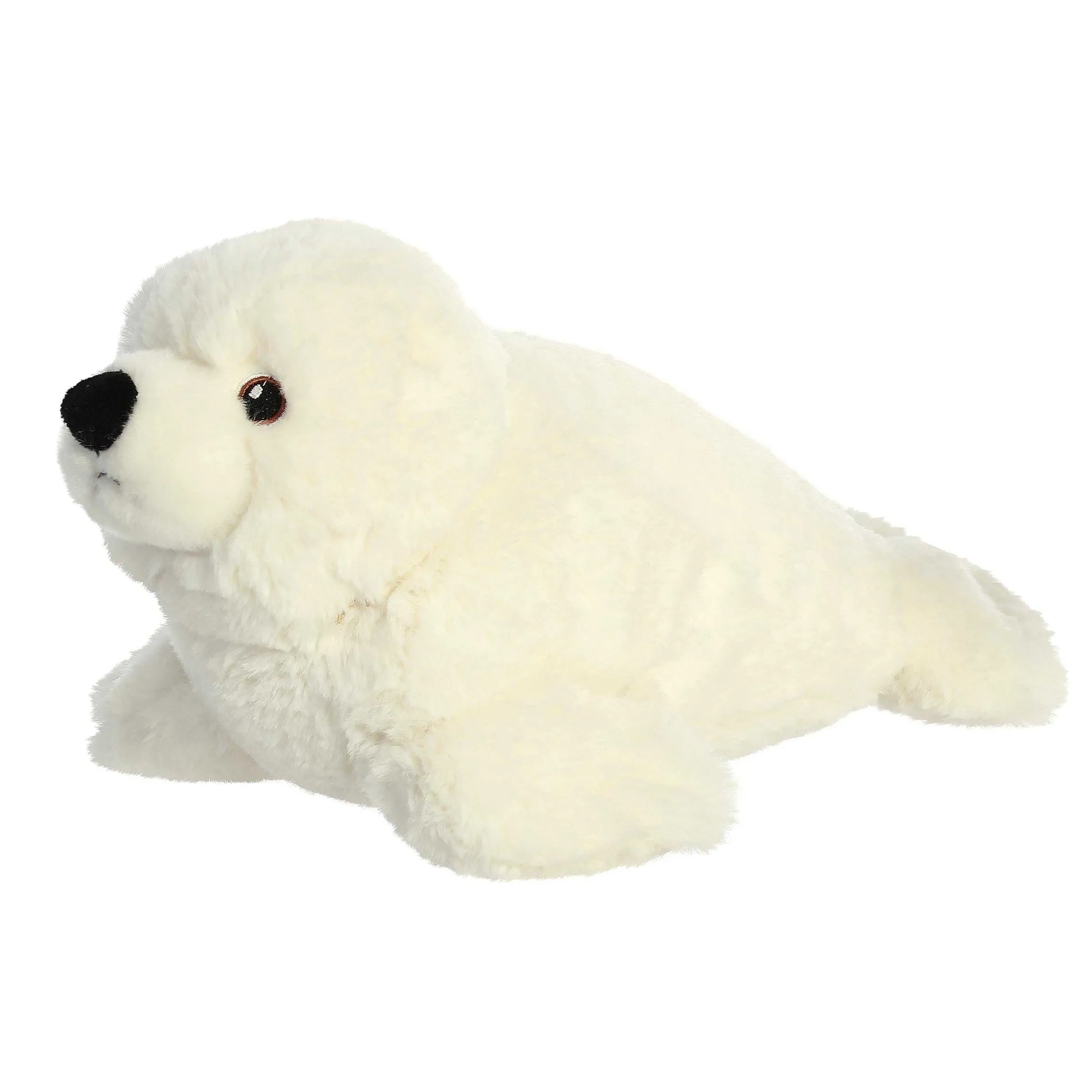 Eco Nation | Aurora® - Eco Nation - 12" Seal