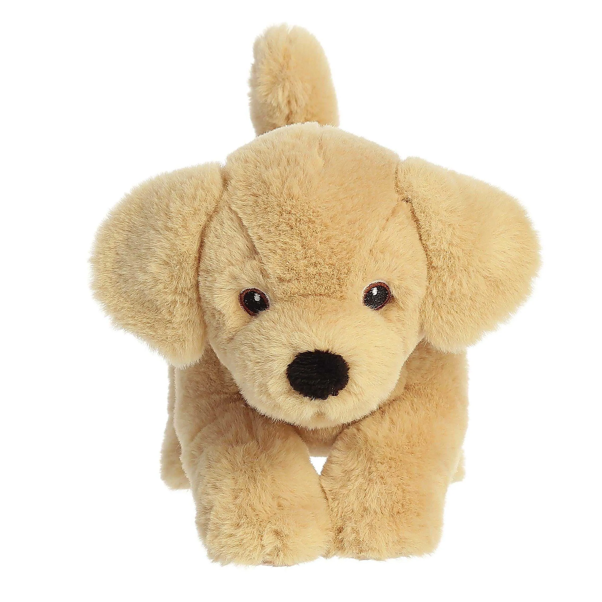 Eco Nation | Aurora® - Eco Nation - 8.5" Yellow Lab