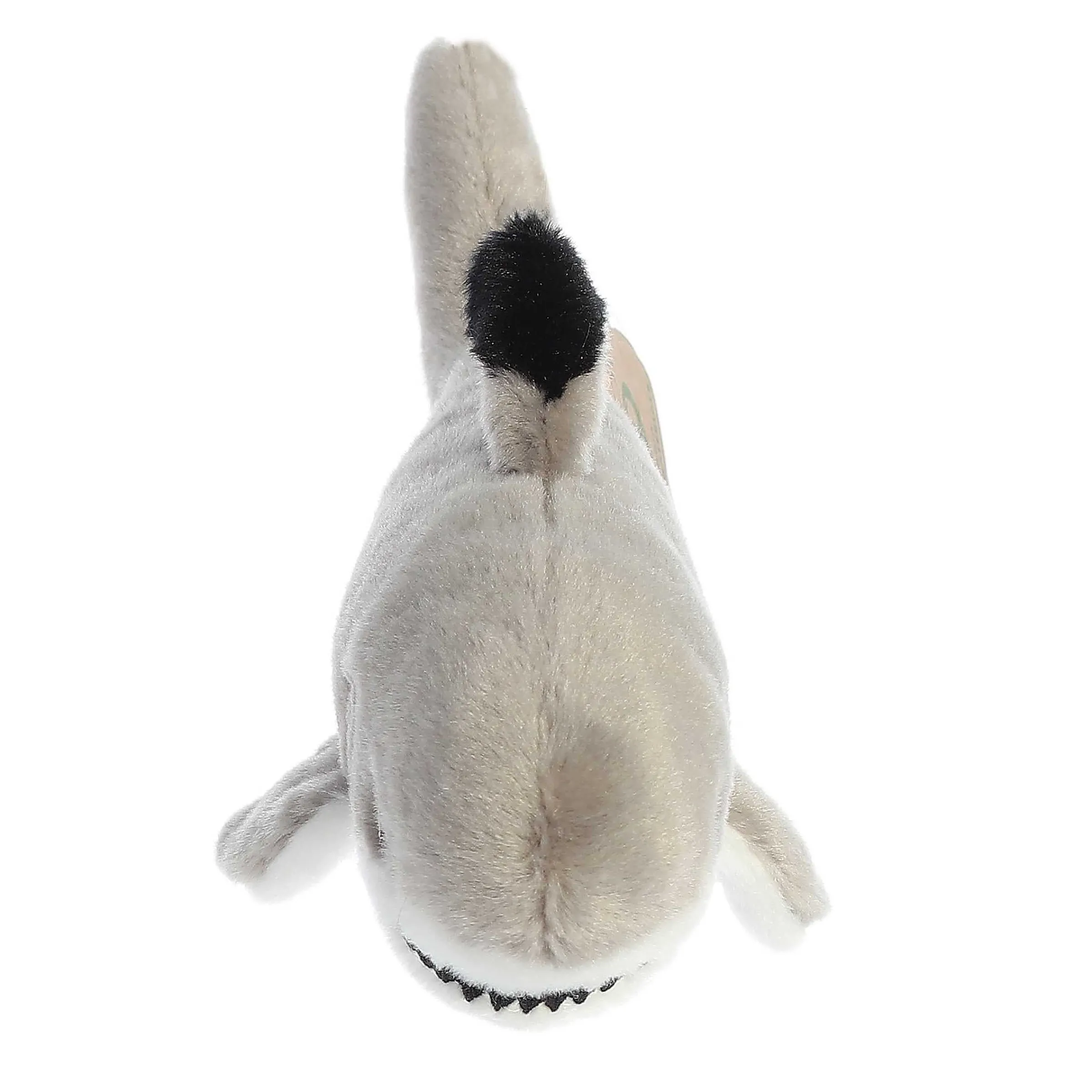New | Aurora® - Eco Nation - Eco Softies - 8" Black Tipped Shark