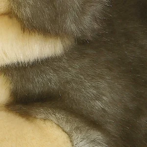 Miyoni® | Aurora® - Miyoni® - Wolf
