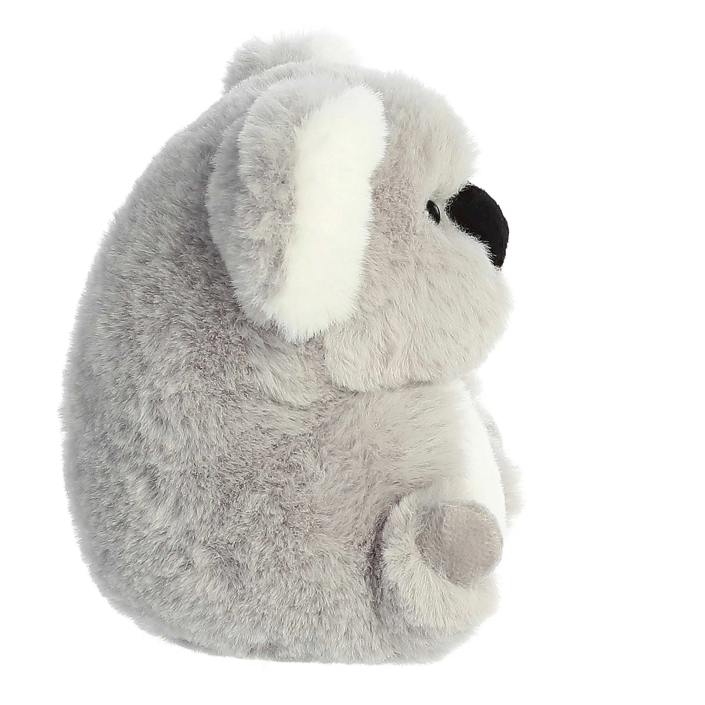 Rolly Pet | Aurora® - Rolly Pet - 5" Wilbur Koala